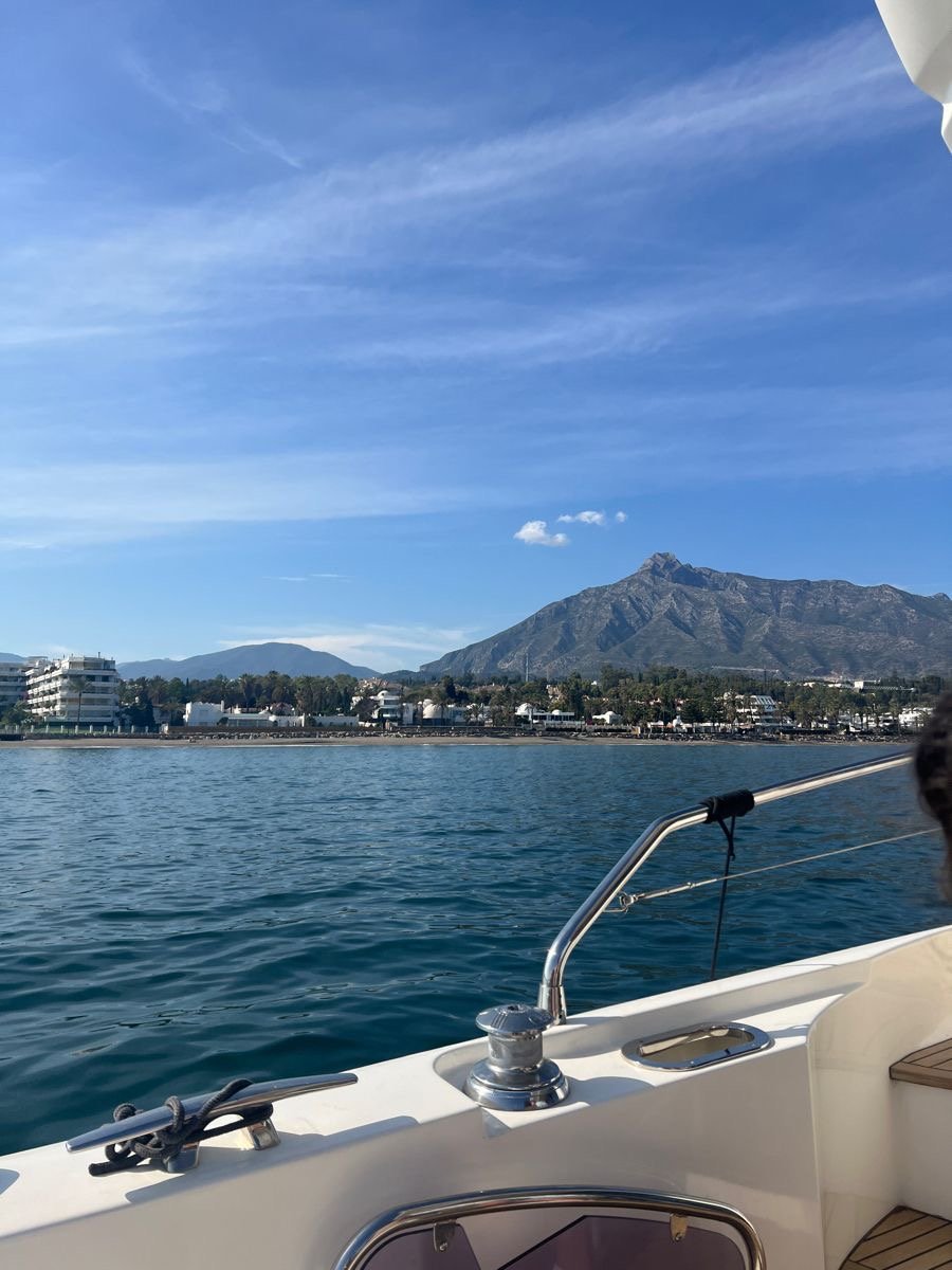 The Marbella coastline and beachfront properties seen from the water